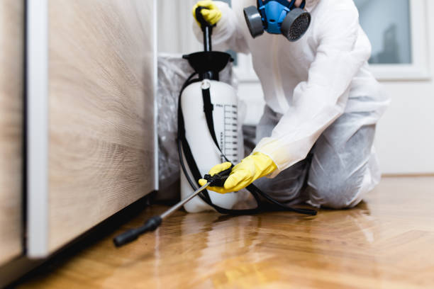 Best Affordable Pest Control Services  in Perham, MN