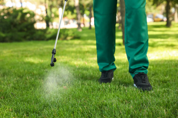 Best Pest Control for Homes  in Perham, MN