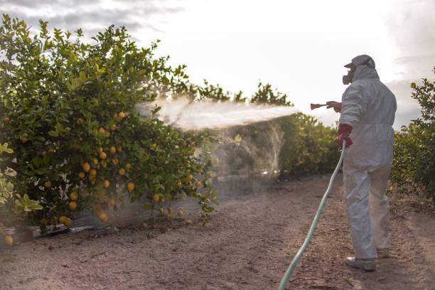 Best Pest Control Near Me  in Perham, MN